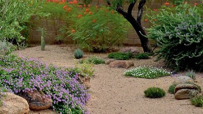 Démonstration du jardin sec
